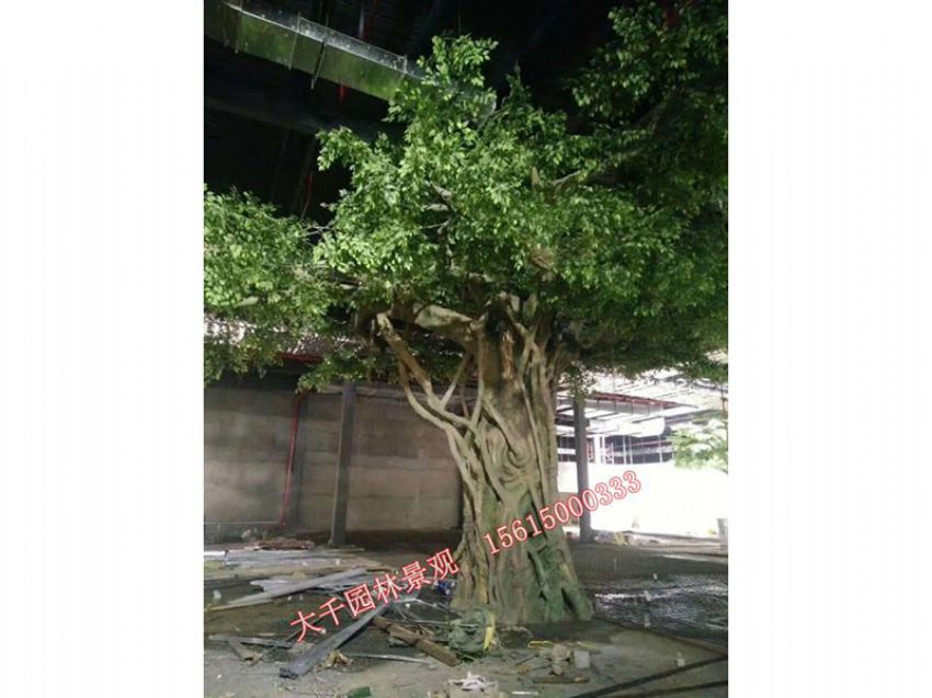 點(diǎn)擊查看詳細(xì)信息<br>標(biāo)題：假樹(shù) 閱讀次數(shù)：2178
